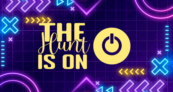 Web server logs showing attacks and scans